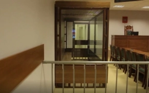 Предполагаемый участник финансовой пирамиды заключён под стражу в Петербурге