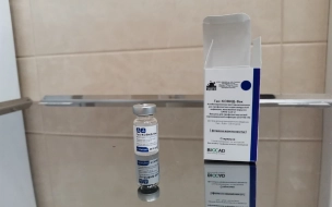 В Петербурге ревакцинация превалирует над первичной вакцинацией