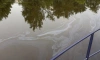 Нефтепродукты попали в реку Екатерингофку 