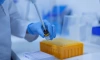 Ученые испытывают новый препарат против рака на основе гималайского гриба 