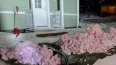 В Финляндии выпал розовый снег