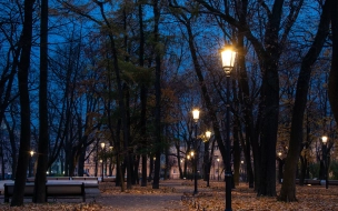 За три года современное освещение получили более 30 петербургских садов, парков и скверов