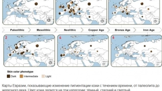 Ученые: у большинства древних европейцев до 3000 лет назад была тёмная кожа, глаза и волосы