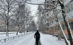 В Петербурге объявили "желтый" уровень погодной опасности 
