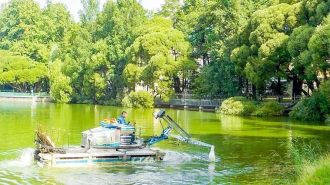 За месяц с акватории Петербурга собрали 459 кубометров мусора и водной растительности