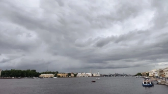 В Петербурге 18 июня объявлен "желтый" уровень погодной опасности