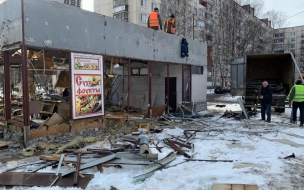 В Выборгском районе Петербурга снесли два павильона-нелегала с сухофруктами и шавермой
