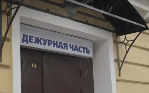 В центре Петербурга росгвардейцы задержали гражданина, совершившего грабеж