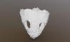Петербургские учёные создали 3D-модели черепов пермских ящеров