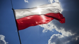 Политолог Журавлев назвал серьезной опасностью появление ядерного оружия в Польше