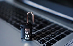 За год в Ленобласти произошло почти 9 тыс. киберпреступлений
