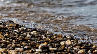 Рекордное число водоемов намерены очистить в Петербурге