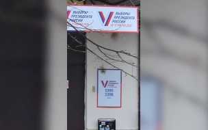 В отношении попытавшейся поджечь избирательный участок на Варшавской улице петербурженки возбуждено уголовное дело