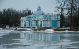 В Петербурге 22 декабря ожидается мокрый снег