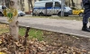 Очевидец прокомментировал нападение неадеквата на девушку с ребёнком в Люберцах