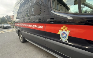 После взрыва в Шушарах возбуждено уголовное дело