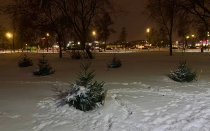 В Петербурге 30 ноября ожидаются снегопады и метель