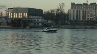 Из ледяной воды в Приморском районе спасли собаку