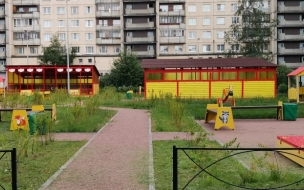 Мужчина приставал к детям на площадке в Невском районе 