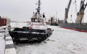Буксир и теплоход столкнулись в морском порту Петербурга