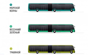 Петербуржцы смогут выбрать цвет для будущих электробусов
