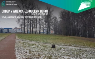 В Петербурге 15 апреля начался агротехнический период