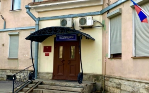 Подозреваемого в противоправных действиях в отношении 10-летней девочки задержали на севере Петербурга
