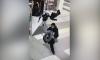 Полиция задержала подозреваемого в ограблении магазина женского магазина на Заневском