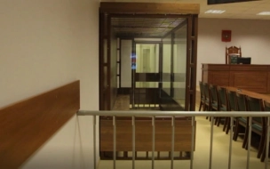 Растливший двух несовершеннолетних петербуржец получил 5 лет в ИК строгого режима