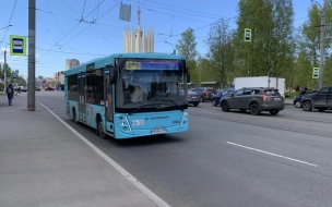 Стали известны самые востребованные автобусные маршруты в Петербурге