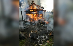В пожаре в Гатчине сгорел человек