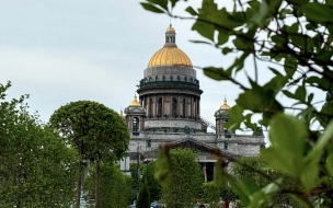 В Петербурге объявили "желтый" уровень опасности 19 августа