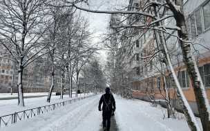 В Петербурге 22 января повышение температуры нивелируют ветер и снег