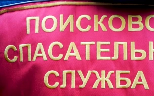 С начала лета на территории Петербурга и Ленобласти пропали 20 мальчиков и девочек до 12 лет