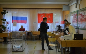 В Общественной палате РФ за первый день выборов выявили порядка 7 тыс. фейков