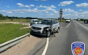 Велосипедист испугался собаки и попал под встречный автомобиль в Ленобласти 