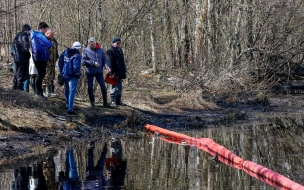 В Выборге продолжат очищать бухту Радуга