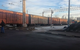 Дело 11-летнего петербуржца, потерявшего ноги под поездом, Бастрыкин взял на личный контроль