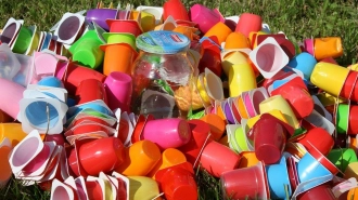 В России могут запретить ватные палочки и пластиковую посуду 