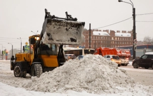 Главный синоптик Петербурга считает, что зимние каникулы не подведут с погодой