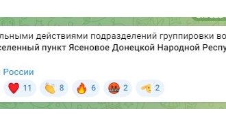 ВС РФ освобожден населенный пункт Ясеновое в ДНР