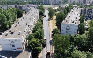 В Выборге проведут обследование зеленого фонда в центральных парках и скверах