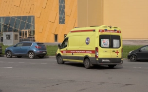 Полицейскими задержан подозреваемый, который ударил ножом водителя из-за парковки на Пулковской улице