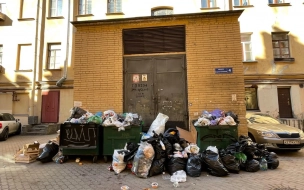 В Центральном районе Петербурга вывозят мусор после ночной экстренной проверки