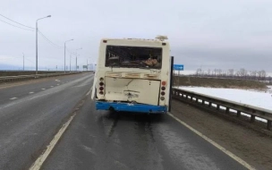 На трассе под Кингисеппом столкнулись грузовик и рейсовый автобус