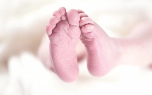 Депутаты ЗакСа поддержали в первом чтении законопроект о подарках для новорожденных