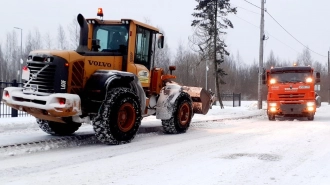 За сутки с петербургских улиц собрали более 30 тысяч кубометров снега
