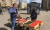 В восьми районах Петербурга от незаконной торговли освободили 57 земельных участков