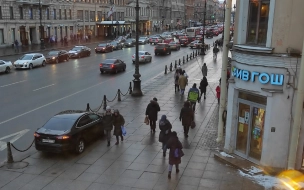 Ford с правительственными номерами заметили на тротуаре в центре Петербурга