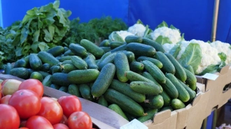 Петербуржцам рассказали, какие овощи лучше выбрать в августе